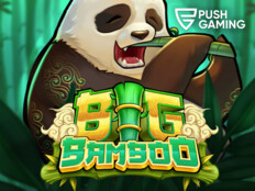 Casino game development company59